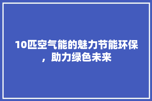 10匹空气能的魅力节能环保，助力绿色未来 清洁保养