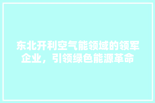 东北开利空气能领域的领军企业，引领绿色能源革命 旧房改造