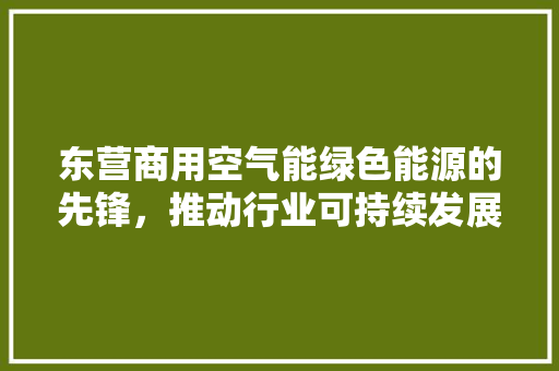 东营商用空气能绿色能源的先锋，推动行业可持续发展 家具修理