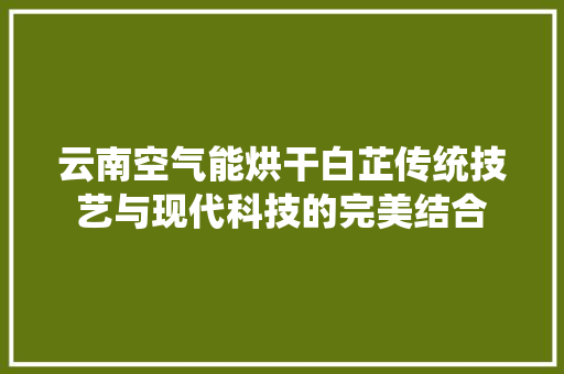 云南空气能烘干白芷传统技艺与现代科技的完美结合 装修设计