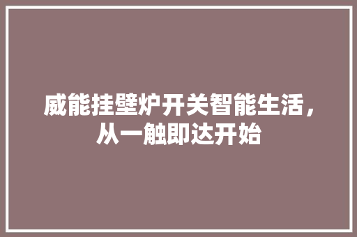 威能挂壁炉开关智能生活，从一触即达开始 洁具维修
