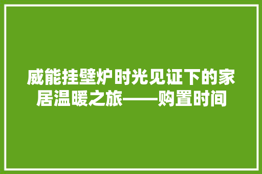 威能挂壁炉时光见证下的家居温暖之旅——购置时间 贴膜