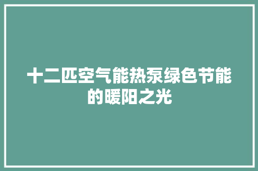 十二匹空气能热泵绿色节能的暖阳之光 局部翻新
