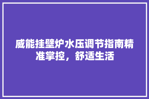 威能挂壁炉水压调节指南精准掌控，舒适生活 局部翻新