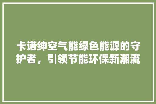 卡诺绅空气能绿色能源的守护者，引领节能环保新潮流 热水器