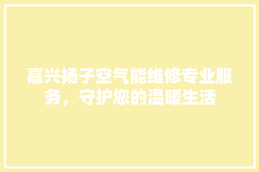 嘉兴扬子空气能维修专业服务，守护您的温暖生活 龙头管件