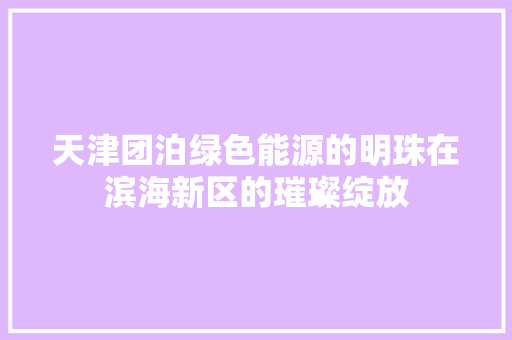 天津团泊绿色能源的明珠在滨海新区的璀璨绽放 局部翻新