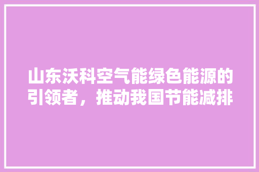 山东沃科空气能绿色能源的引领者，推动我国节能减排事业 水电维修