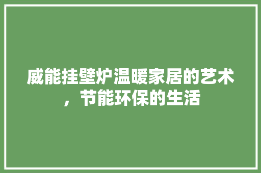 威能挂壁炉温暖家居的艺术，节能环保的生活 空调