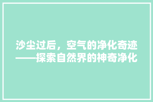 沙尘过后，空气的净化奇迹——探索自然界的神奇净化力 洁具维修