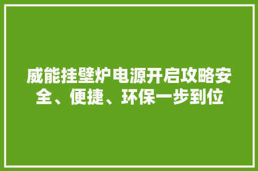 威能挂壁炉电源开启攻略安全、便捷、环保一步到位 灯具安装 威能挂壁炉电源开启攻略安全、便捷、环保一步到位 灯具安装