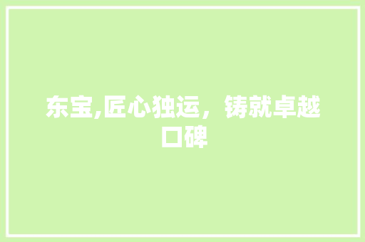 东宝,匠心独运，铸就卓越口碑 贴膜