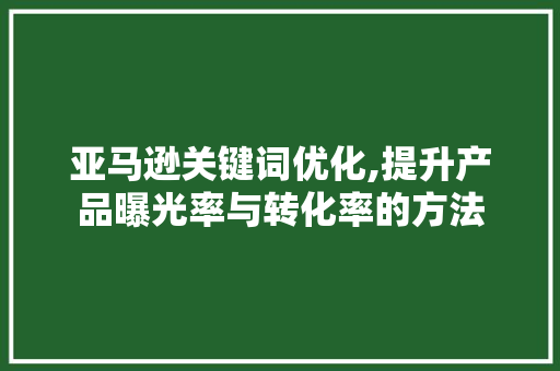 亚马逊关键词优化,提升产品曝光率与转化率的方法 热水器