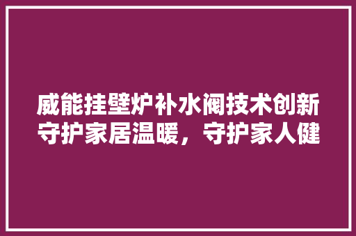 威能挂壁炉补水阀技术创新守护家居温暖，守护家人健康 清洁保养