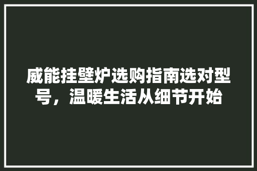 威能挂壁炉选购指南选对型号，温暖生活从细节开始 贴膜