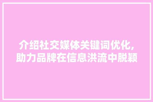 介绍社交媒体关键词优化,助力品牌在信息洪流中脱颖而出 局部翻新
