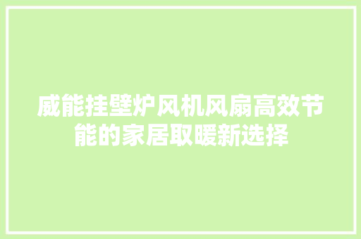 威能挂壁炉风机风扇高效节能的家居取暖新选择 局部翻新