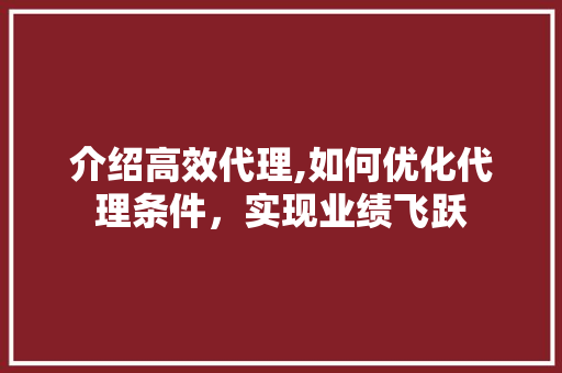 介绍高效代理,如何优化代理条件，实现业绩飞跃 贴膜