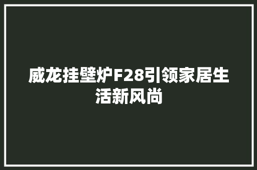 威龙挂壁炉F28引领家居生活新风尚 家居维修