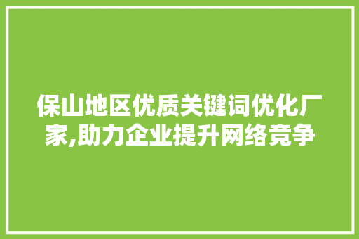 保山地区优质关键词优化厂家,助力企业提升网络竞争力 热水器