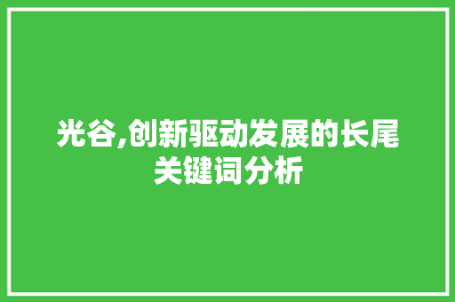 光谷,创新驱动发展的长尾关键词分析 局部翻新
