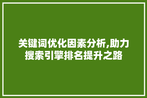 关键词优化因素分析,助力搜索引擎排名提升之路 洁具维修