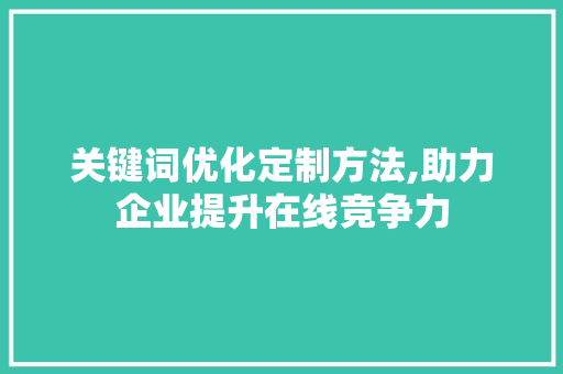 关键词优化定制方法,助力企业提升在线竞争力 洗衣机