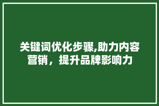 关键词优化步骤,助力内容营销，提升品牌影响力 装修设计