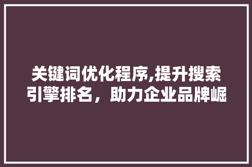 关键词优化程序,提升搜索引擎排名，助力企业品牌崛起 贴膜