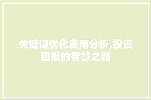 关键词优化费用分析,投资回报的智慧之路 水电维修