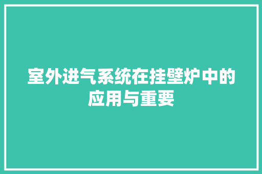 室外进气系统在挂壁炉中的应用与重要 家电维护