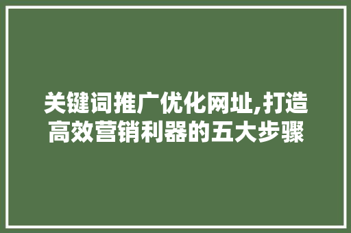关键词推广优化网址,打造高效营销利器的五大步骤 冰箱