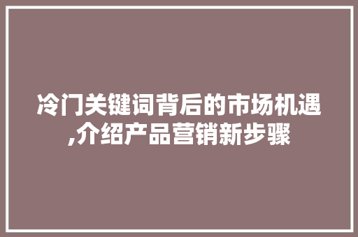 冷门关键词背后的市场机遇,介绍产品营销新步骤 翻新改色