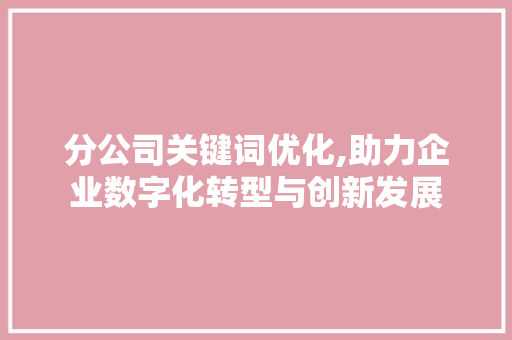 分公司关键词优化,助力企业数字化转型与创新发展 翻新改色
