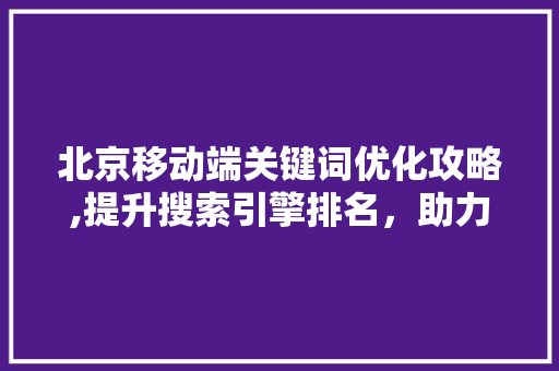 北京移动端关键词优化攻略,提升搜索引擎排名，助力企业品牌崛起 洁具维修