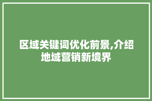 区域关键词优化前景,介绍地域营销新境界 水电维修