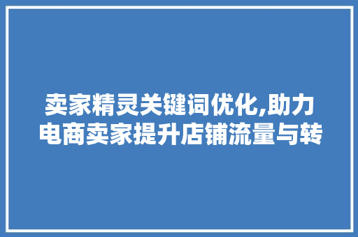 卖家精灵关键词优化,助力电商卖家提升店铺流量与转化率 家电维护