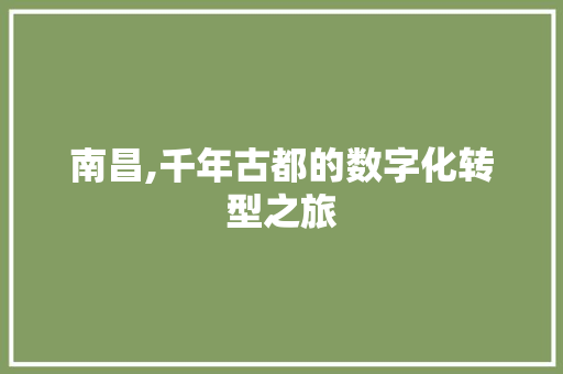 南昌,千年古都的数字化转型之旅 清洁保养