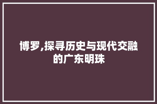 博罗,探寻历史与现代交融的广东明珠 家电维护