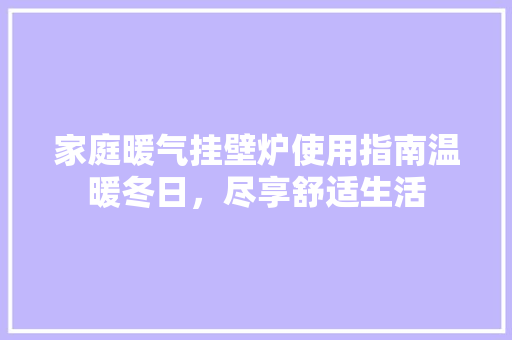 家庭暖气挂壁炉使用指南温暖冬日,尽享舒适生活 冰箱 家庭暖气挂壁炉使用指南温暖冬日,尽享舒适生活 冰箱