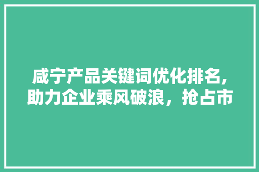 咸宁产品关键词优化排名,助力企业乘风破浪，抢占市场先机 水电维修