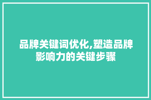 品牌关键词优化,塑造品牌影响力的关键步骤 家电维护