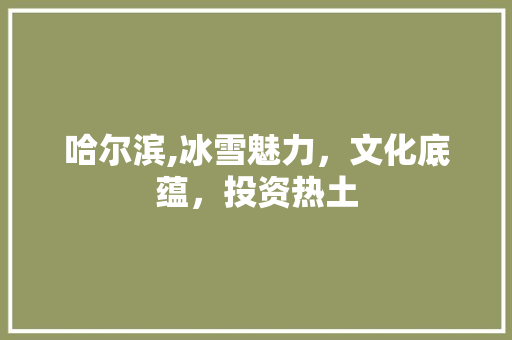 哈尔滨,冰雪魅力，文化底蕴，投资热土 家电维护