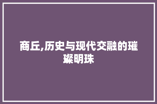 商丘,历史与现代交融的璀璨明珠 贴膜