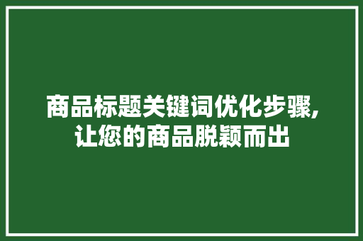 商品标题关键词优化步骤,让您的商品脱颖而出 洁具维修