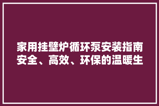 家用挂壁炉循环泵安装指南安全、高效、环保的温暖生活 龙头管件