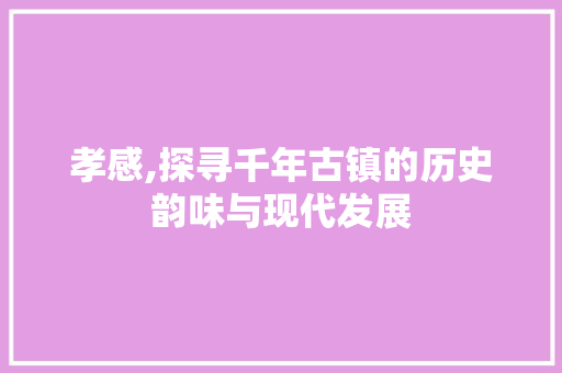 孝感,探寻千年古镇的历史韵味与现代发展 水电维修