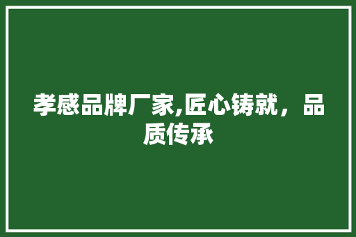 孝感品牌厂家,匠心铸就，品质传承 清洁保养