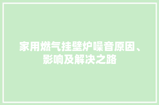 家用燃气挂壁炉噪音原因、影响及解决之路 洗衣机