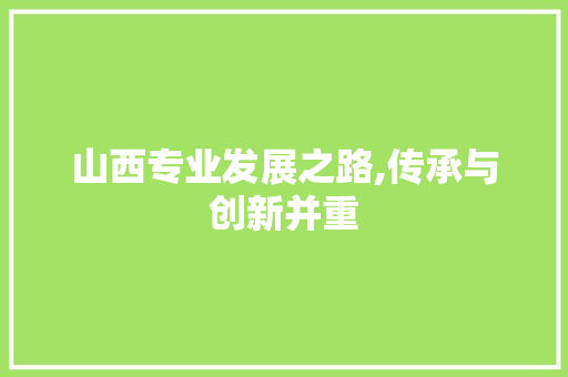 山西专业发展之路,传承与创新并重 翻新改色